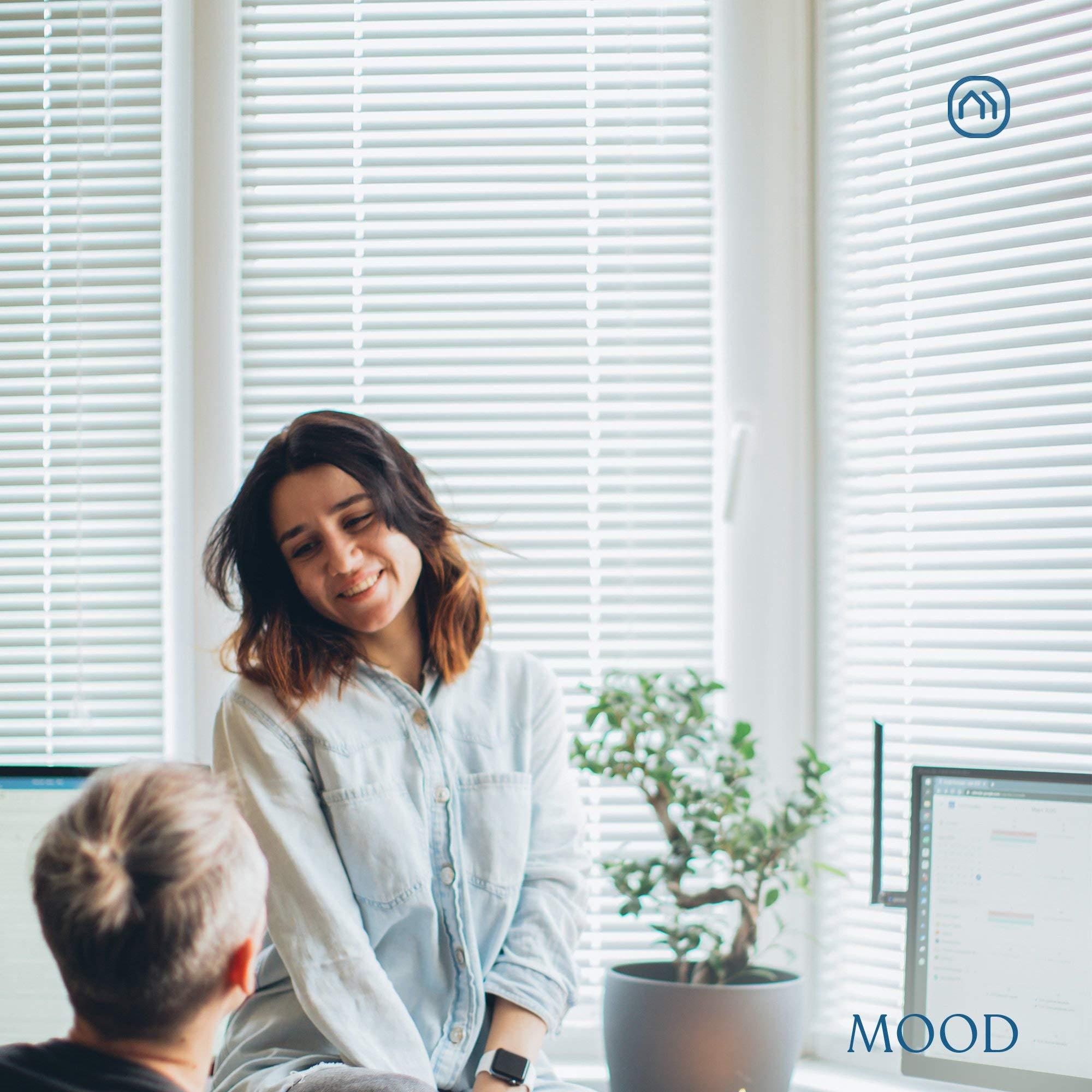 Mood Mood Mini Blinds | 48 inch Blinds for Windows | 1" Cordless Vinyl Window Treatment | Premium White | 48 x 72