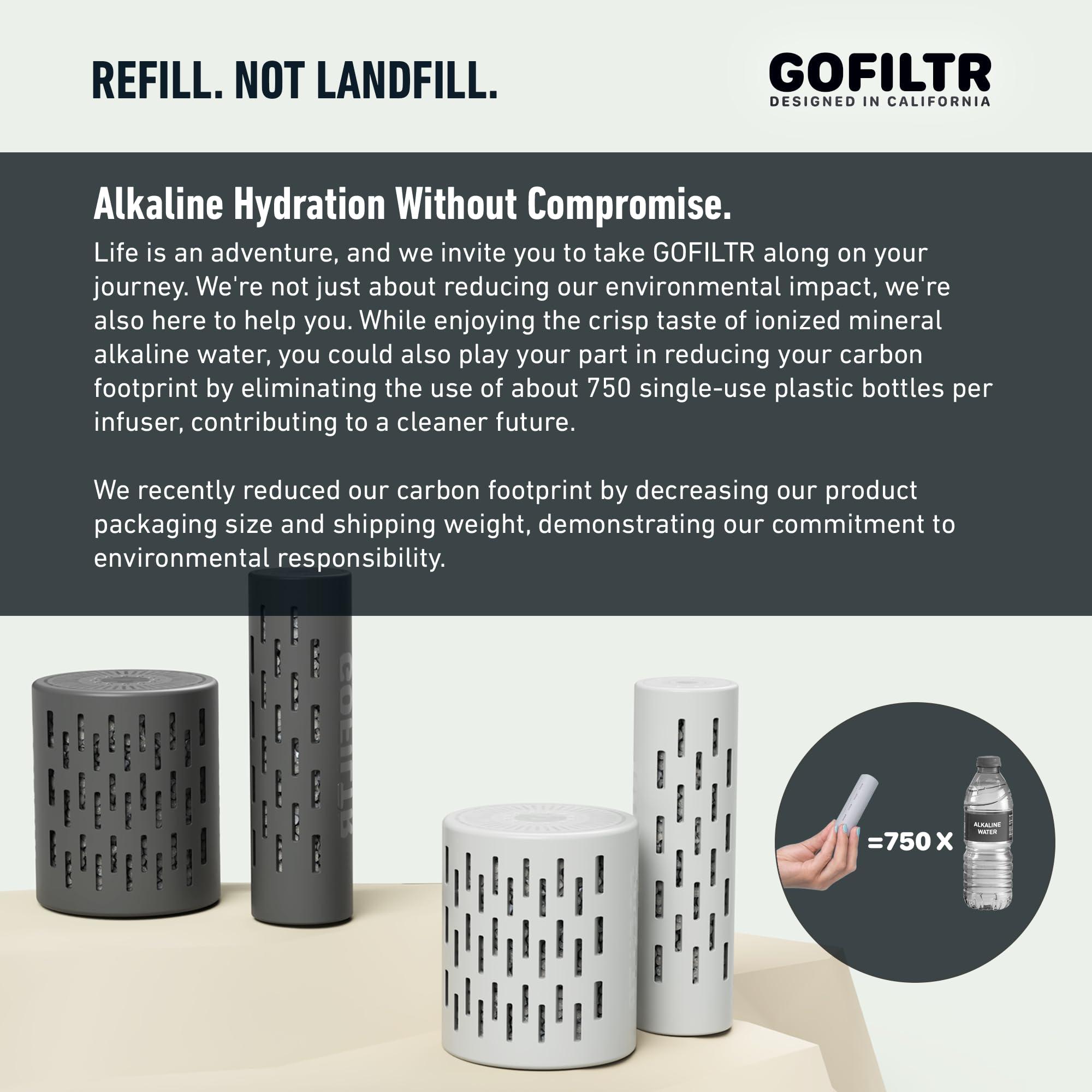 GOFILTR GOFILTR Alkaline Water Infuser (Original 2 Pack) 9.5 pH + Electrolytes for Any Water Bottle/Small Pitcher, 750 Refills / 3 Months, 2 Ionized Mineral Water Infusers
