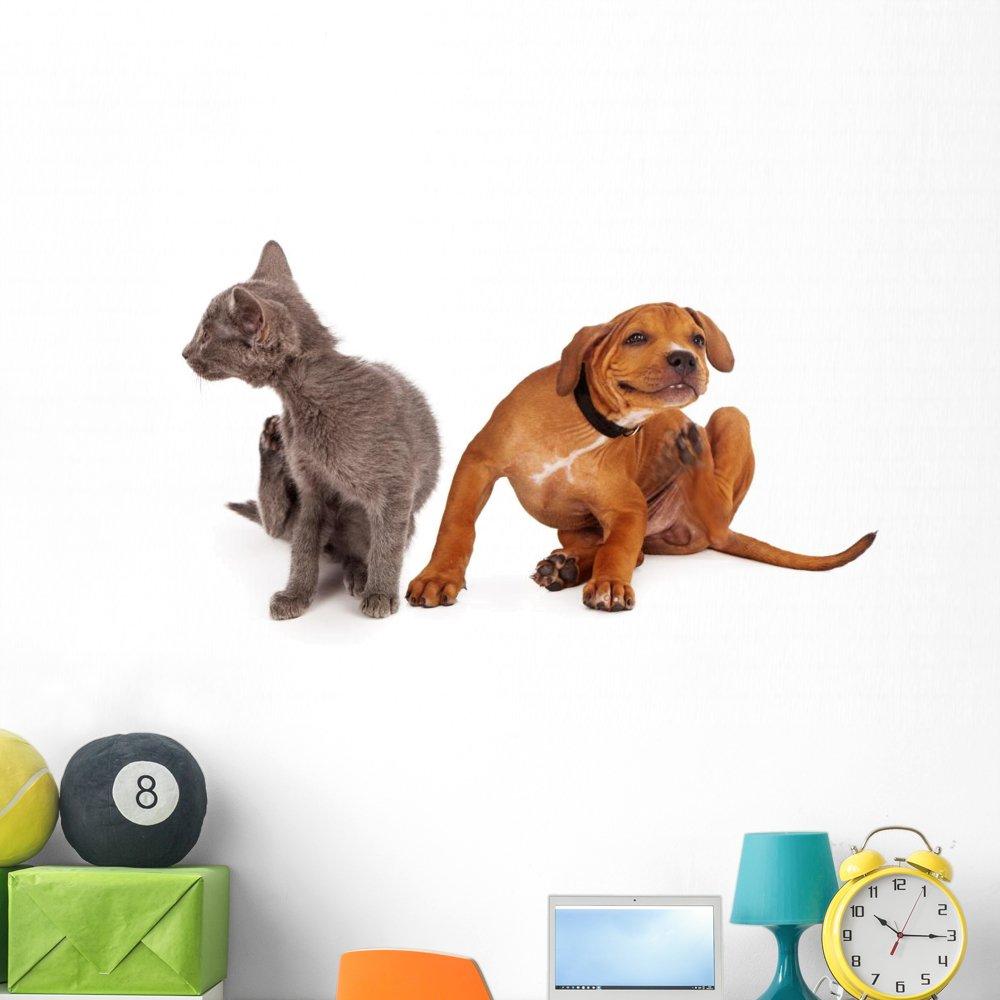 Europe Standard Shop Towels, Standard Roll, 10.4 x 11, Blue, 55/Roll, 12 Rolls/Carton