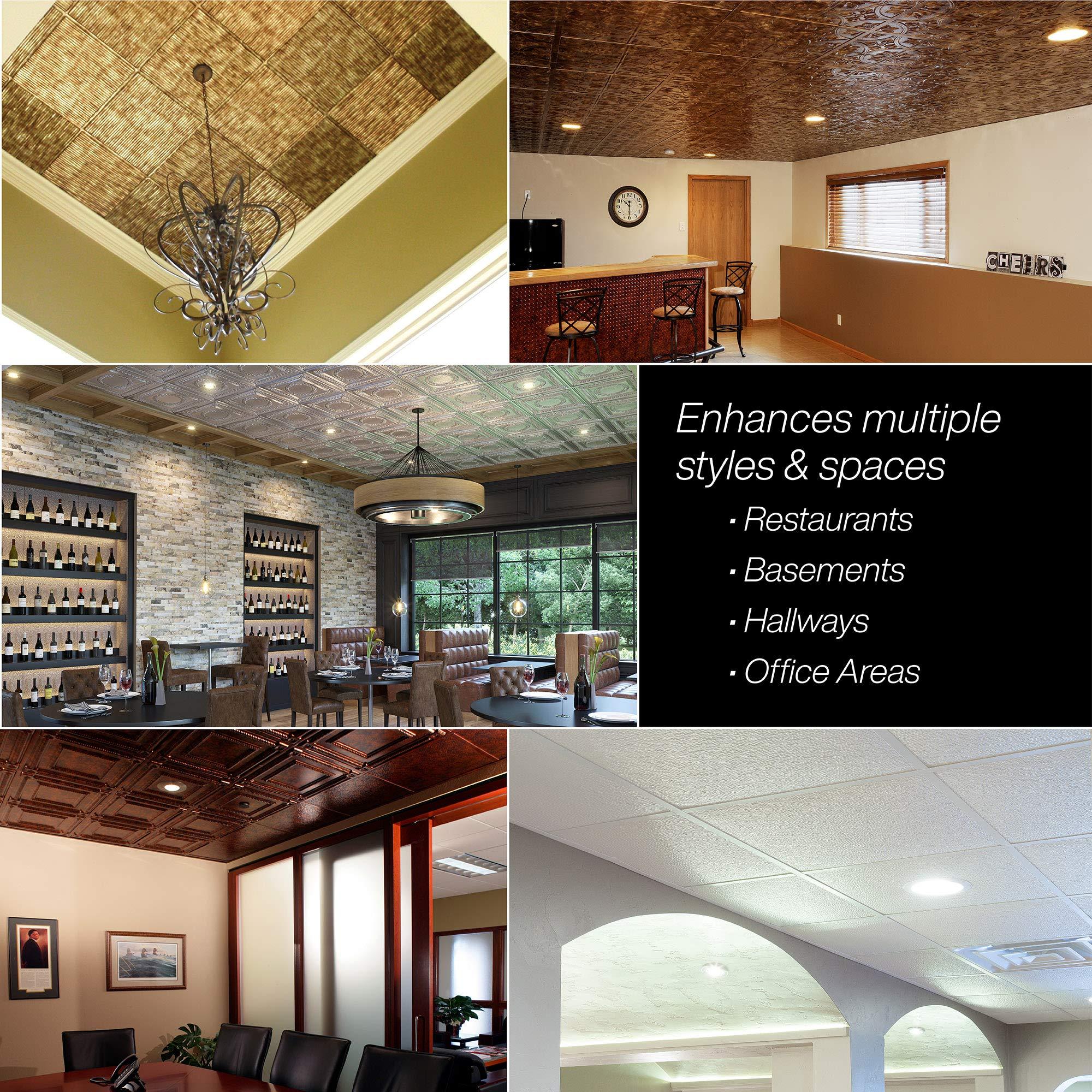 FASDE FASDE Dome Decorative Vinyl 2ft x 2ft Lay in Ceiling Panel in Argent Silver (5 Pack)