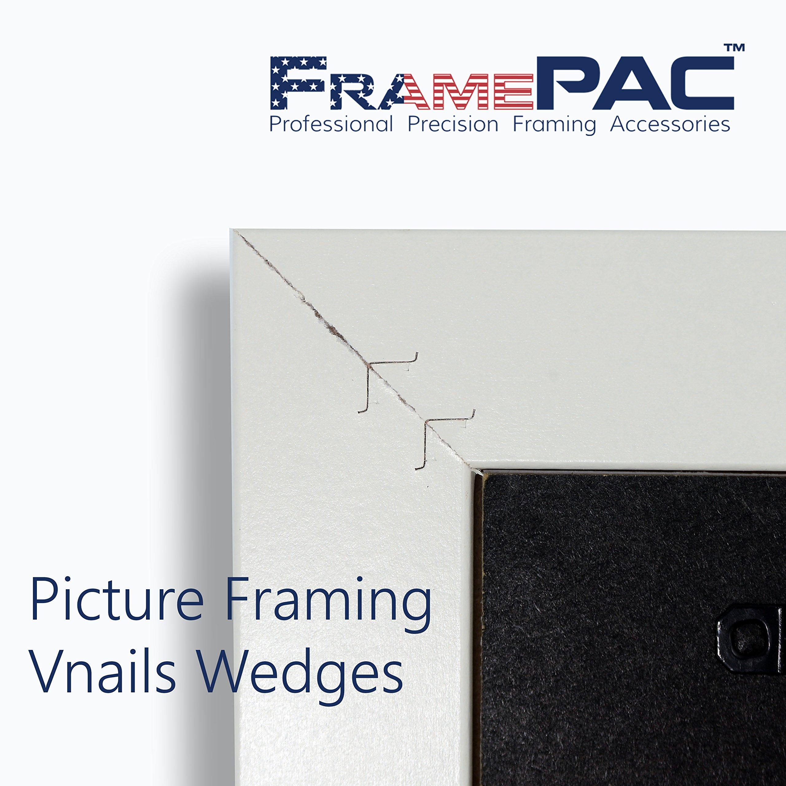 FramePac FramePac V Nails for Picture Frames Hardwood (AMP) 12mm (1/2 Inch) [3000 V-Nail Pack, Stacked] - (for use in Automatic V Nailer for Picture Framing, Automatic V Nailer for Picture Frames)
