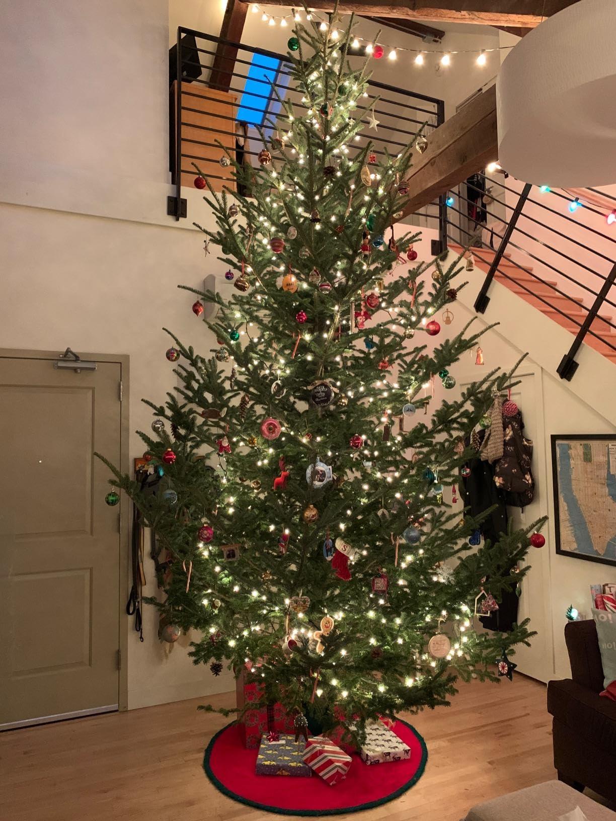 Goliath Goliath Welded Steel Christmas Tree Stand for Live Trees 5 to 12 Foot