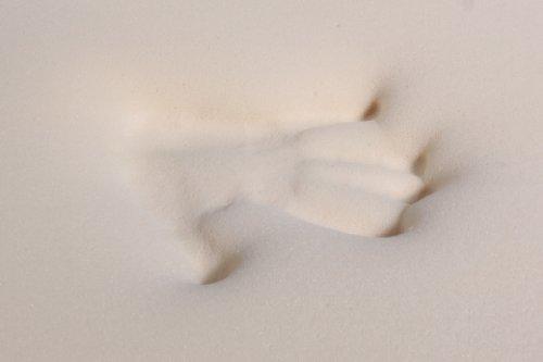 PlushBeds PlushBeds Resort Sofa Mattress Premium Memory Foam | Handcrafted in The USA | CertiPUR-US® Certified Plush Foam Layer | GreenGuard Gold Certified | Luxurious Comfort | Superior Support | Twin