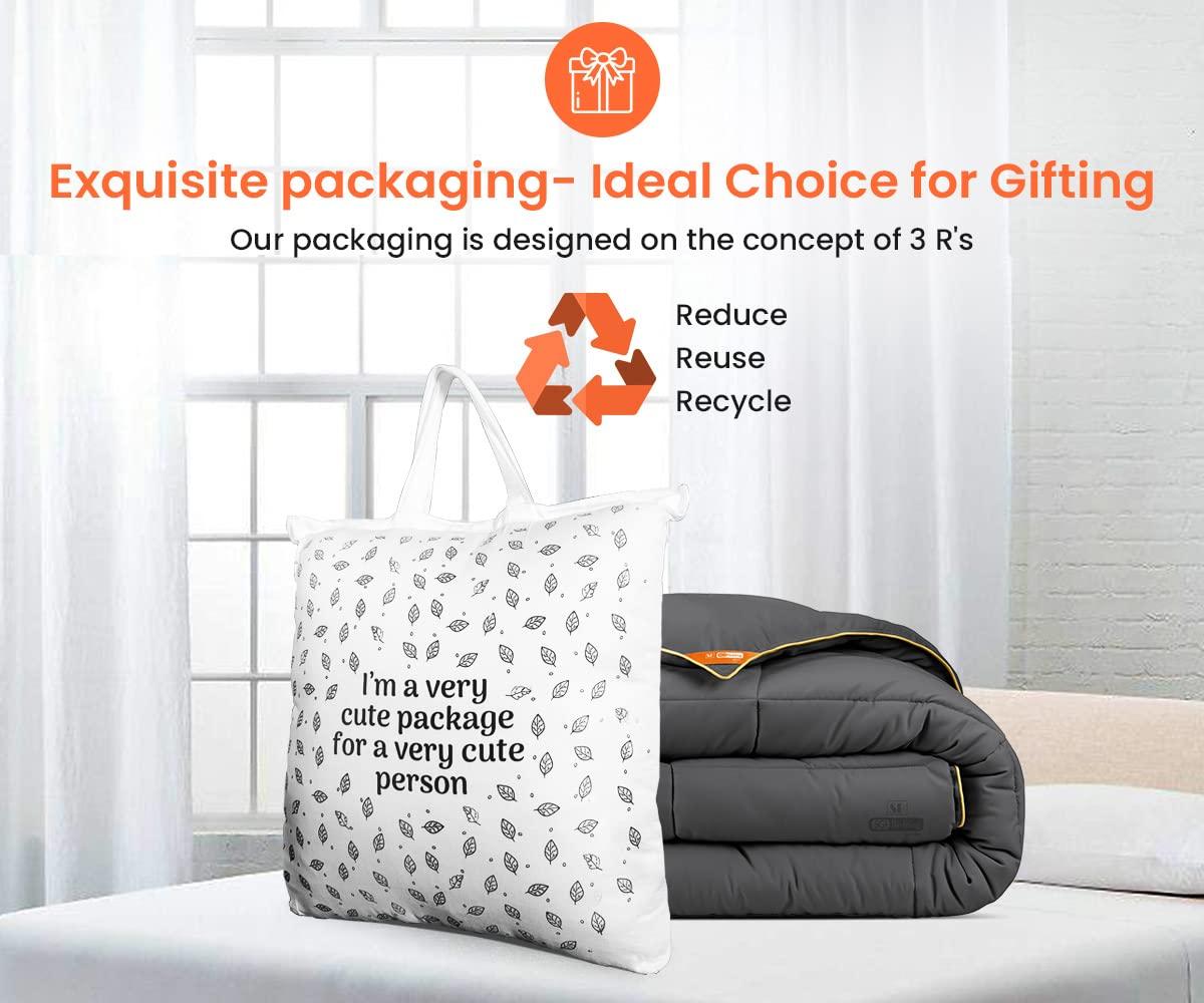 Canvas Art USA Ty Cobb And Honus Wagner, 1880 by Leopold Morse Goulston Baseball Collection - 31\" x 38\" Canvas Art Print Gallery Wrapped - Ready to Hang