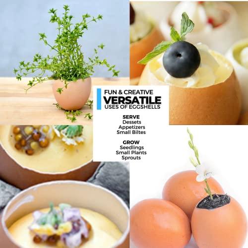 Impeccable Culinary Objects (ICO) ICO Stainless Steel Egg Topper and Perfect Egg Opener for Soft Boiled Eggs, Egg Cracker for Hard Boiled Eggs