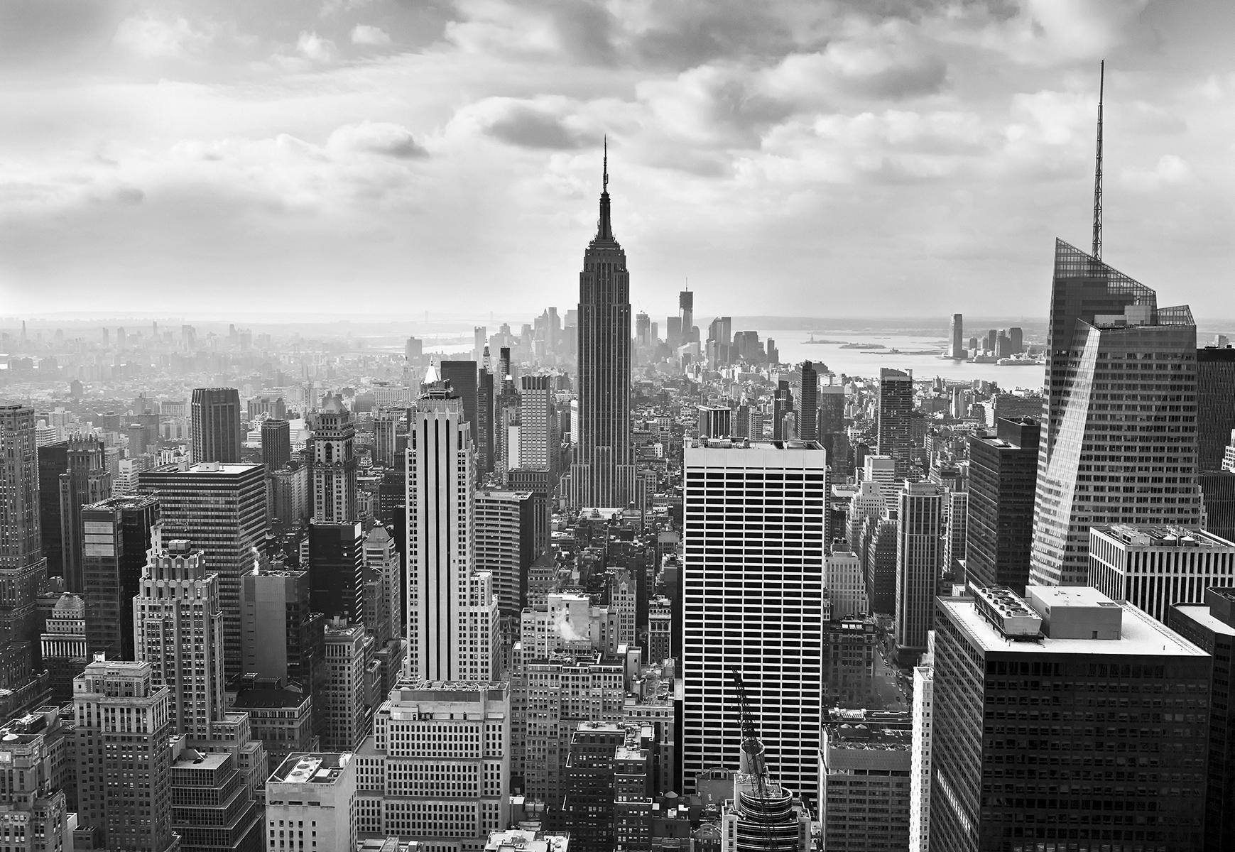 Cardboard People Cardboard People Mustang Horse Life Size Cardboard Cutout Standup