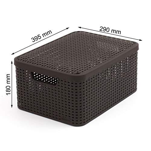 Curver Curver Style 205847 Storage Box Rattan Look Size M with Second-Generation Lid Polypropylene