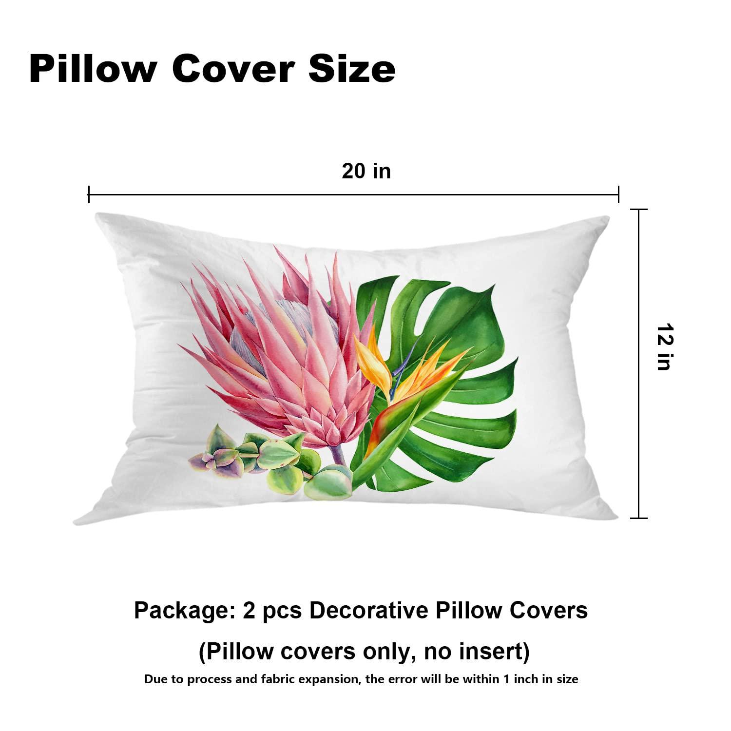 Sajida Cotton Bedding Bedding Sheets California King Size 6 Piece 1000 Thread Count 100% Egyptian Cotton Teal Green Sheet Set with 19 Inches Deep Pocket Wrinkle & Fade Resistant