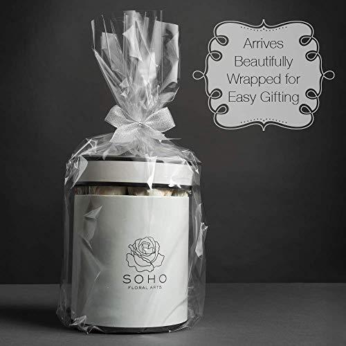 SOHO FLORAL ARTS SOHO FLORAL ARTS | Roses Preserved Flowers | Genuine Roses that Last for Years | Flowers for Delivery Roses in A Box (Black Box, Red Roses) | Mothers Day Gifts