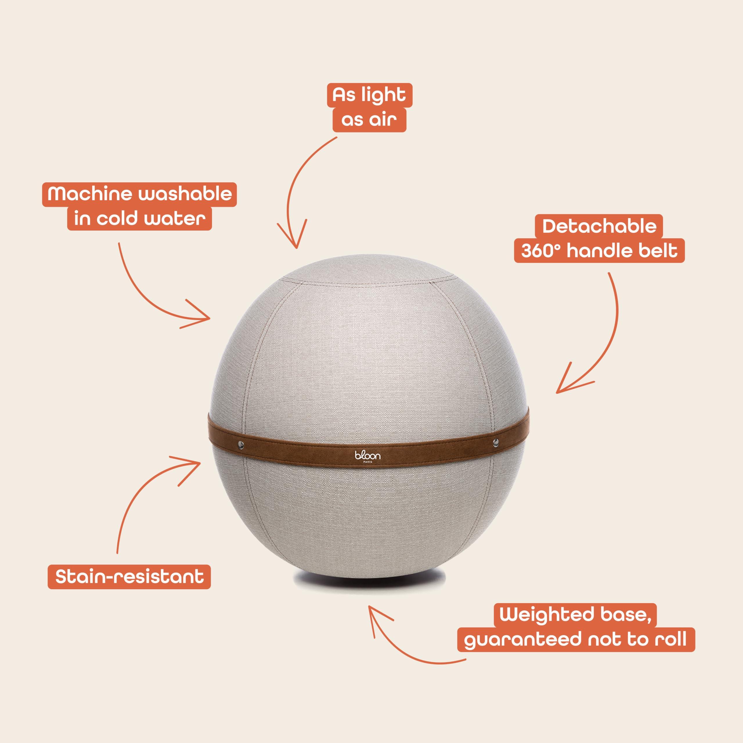 Bloon Paris Bloon Paris Ergonomic Sitting Ball Chair - Premium Desk Chair for Home and Office with Active Seating - Durable & Stylish Balance Ball Chair - Grey Platinium - Regular Size