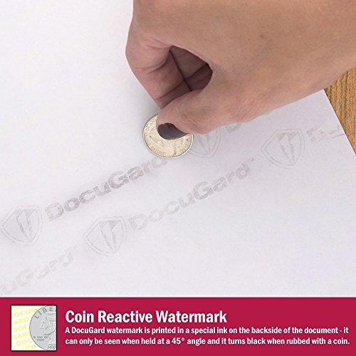 DocuGard DocuGard Advanced Blue Multi-Purpose Security Paper, 7 Features, 8.5 x 11 Inches, 24 lb, 500 Sheets (04546)