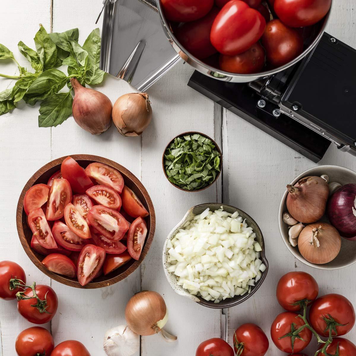 Raw Rutes Raw Rutes - Electric Tomato Strainer Machine - Made in Italy - Perfect for Canning Tomato Purees, Sauces and More! (No. 3)