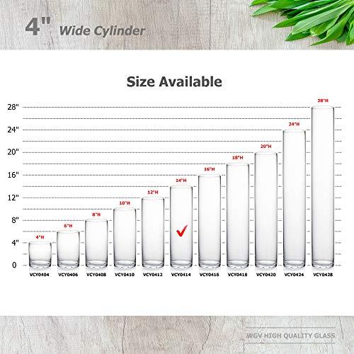 WGVI WGVI Quality Thick Weighted Tall Clear Cylinder Glass Vases, 4\" W x 14\" H, Flower Arrangement Floating Candle Holders Wedding Centerpieces Floral Container Home Decor, Bulk Wholesale, 12 Pcs