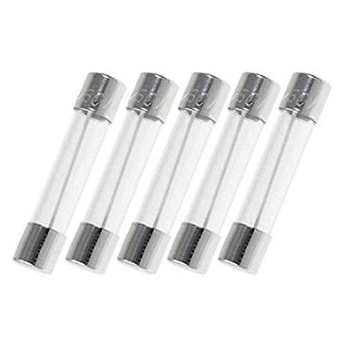 Witonics Pack of 5, 3AG10A250V, F10AL250V, F10A 250V, F10 L250V, F10A 250V, F10L250V Cartridge Glass Fuses 6X30mm (1/4 inch x 1-1/4 inch), 10A 250V, Fast Blow (Fast Acting)