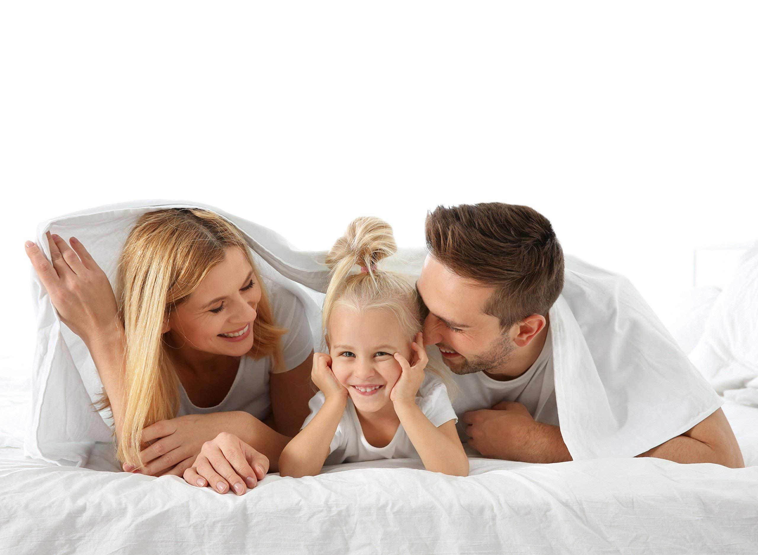 Wkrevs Wkrevs Night Sweats: The Original 1000-Thread-Count 100% Egyptian Cotton Sheet Set Split Head King (36\" Split) Size Fits 9-12 Inches Deep Pocket (Stripe, Grey)