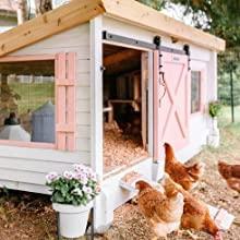 Amtrak Solar Amtrak Solar Powerful Attic Exhaust Gable Vent Fan Quietly Cools and Ventilates your house, garage, greenhouse or RV and protects against moisture Plug & Play (12\" Fan Only)