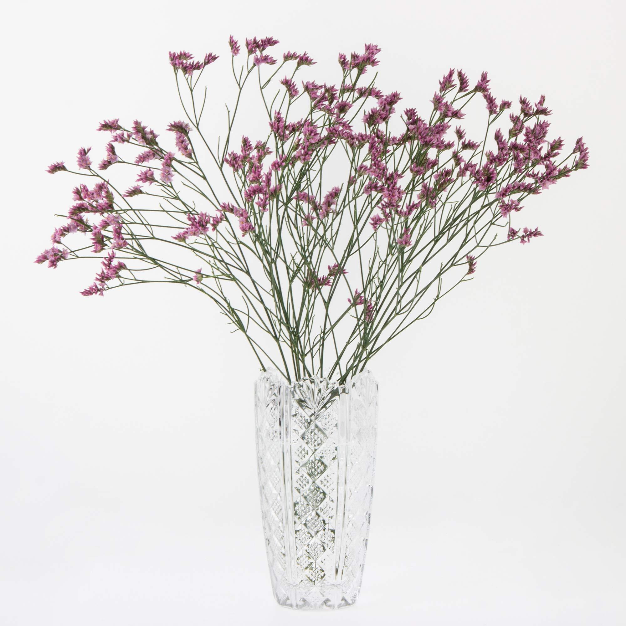 ???????? Toyo Sasaki Glass Flower Base, Approx. 3.1 x 6.3 inches (8 x 16 cm), Table Garden, Flower Vase, Made in Japan, Dishwasher Safe, FV2, Clear
