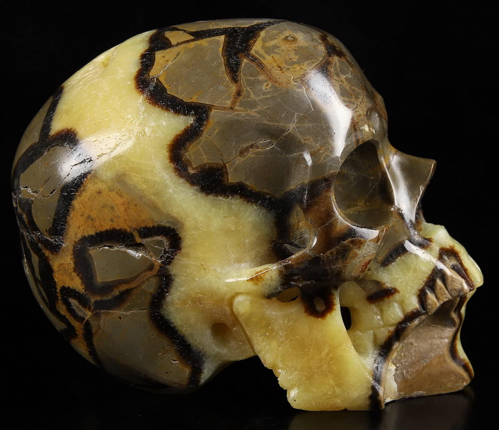 Skullis Skullis 5.0" Dragon Septarian Stone Hand Carved Crystal Skull, Super Realistic, Crystal Healing, Hand Carved Gemstone Fine Art Sculpture, Reiki Healing Stone Statue.1133 Z8