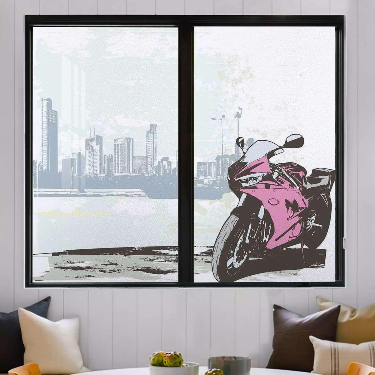 HomeLoft Basics Frosted Glass Window Film,Static Cling Window Film,Window Sticker Privacy,Film for Glass Door Bathroom Office Living Room Motorbike by River 23.6Wx78.7L-inch x2 Pcs