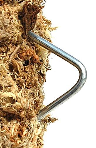 Topiary Art Works 18" Peace Sign Living Wreath Sphagnum Moss Form Complete