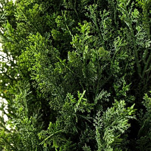 Wilton Wilton Bake-Even Cake Pan Strips - Use Cake Strips on Baking Pans for Evenly Baked Cakes, 6-Piece Set, (2) 35 x 1.5-Inch, (2) 25 x 1.5-Inch and (2) 10 x 1.5-Inch