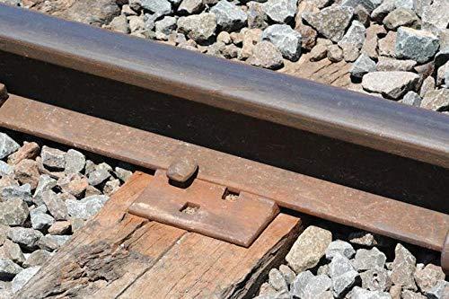 Generic Steel Railroad Spikes, set of 4