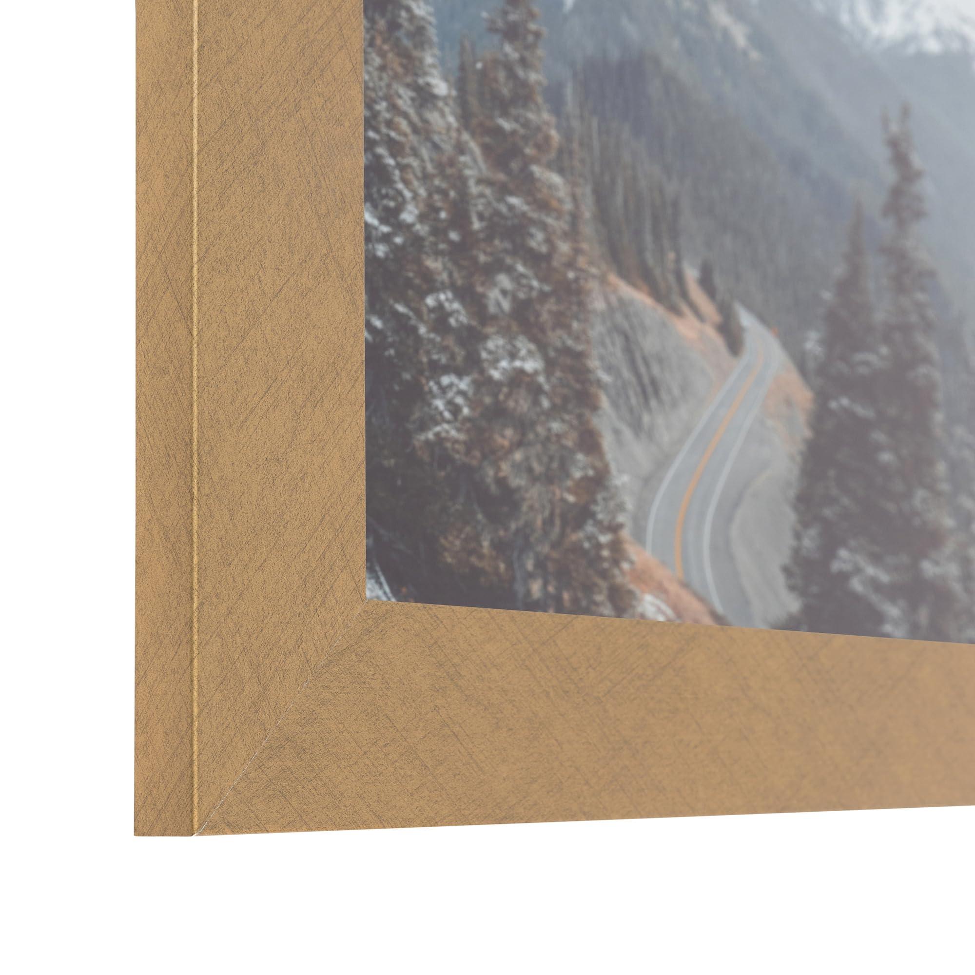 ArtToFrames ArtToFrames 23x30 inch Metallic Gold Picture Frame, 2WOM0066-20277-YGLD-23x30
