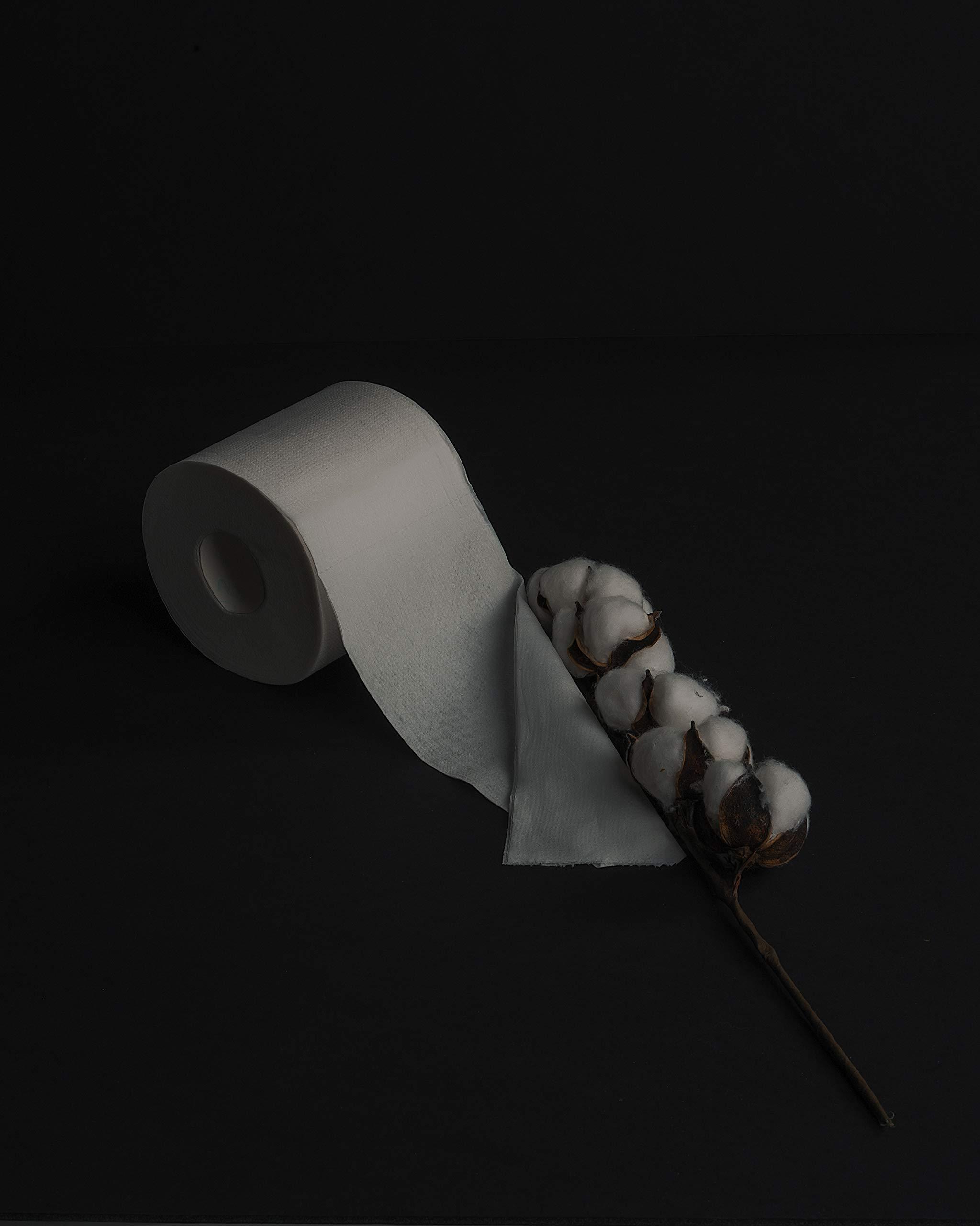 Commodore LUXSOFT Premium 3-Ply Luxury Toilet Paper 6-Pack - Septic, RV, and Boat Safe with Quick Dissolving Material (Single Pack (6 Rolls)) white