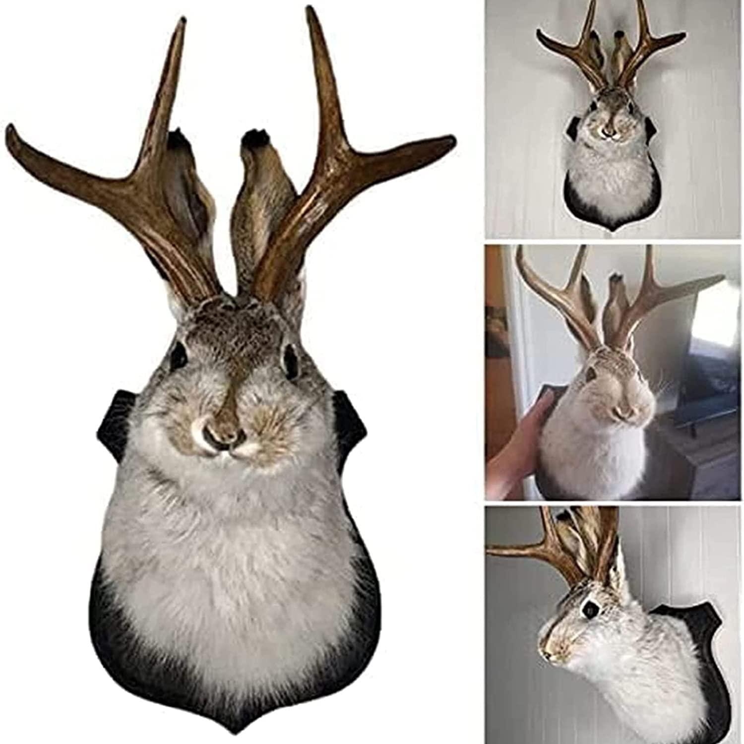 YXMKJOS YXMKJOS Jackalope Mount, Easter Bunny Wall Decor, Jackalope Taxidermy, Animal Head Wall Decor, Animals Wall Art, Resin Deer Head Animal Wall Mount, for Home Wall Decoration