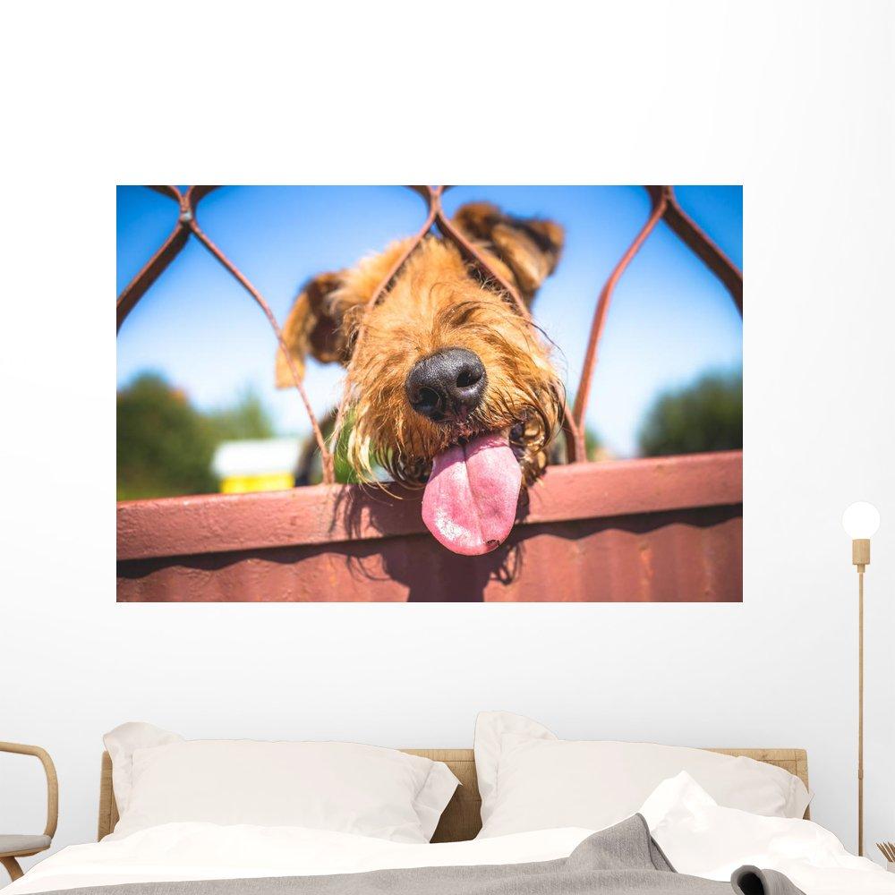 WallStickers4ever Large Vinyl Wall Decal Gaming Quote Joysticks Video Game Stickers Large Decor (ig4500) Grey