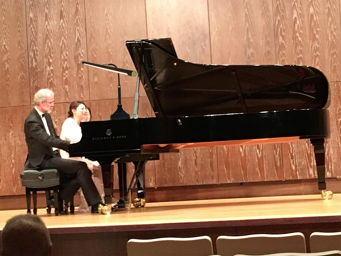 HomeFocus HomeFocus - Piano Lamp,LED Piano Lamp with Dimmer,Eye-Caring,Stepless Dimming,Piano Lamp,Desk Lamp,Reading Lamp for Home Office,Adjustable Height,Multi-Functional,LED 5W,3000K,Metal,Black+Gold