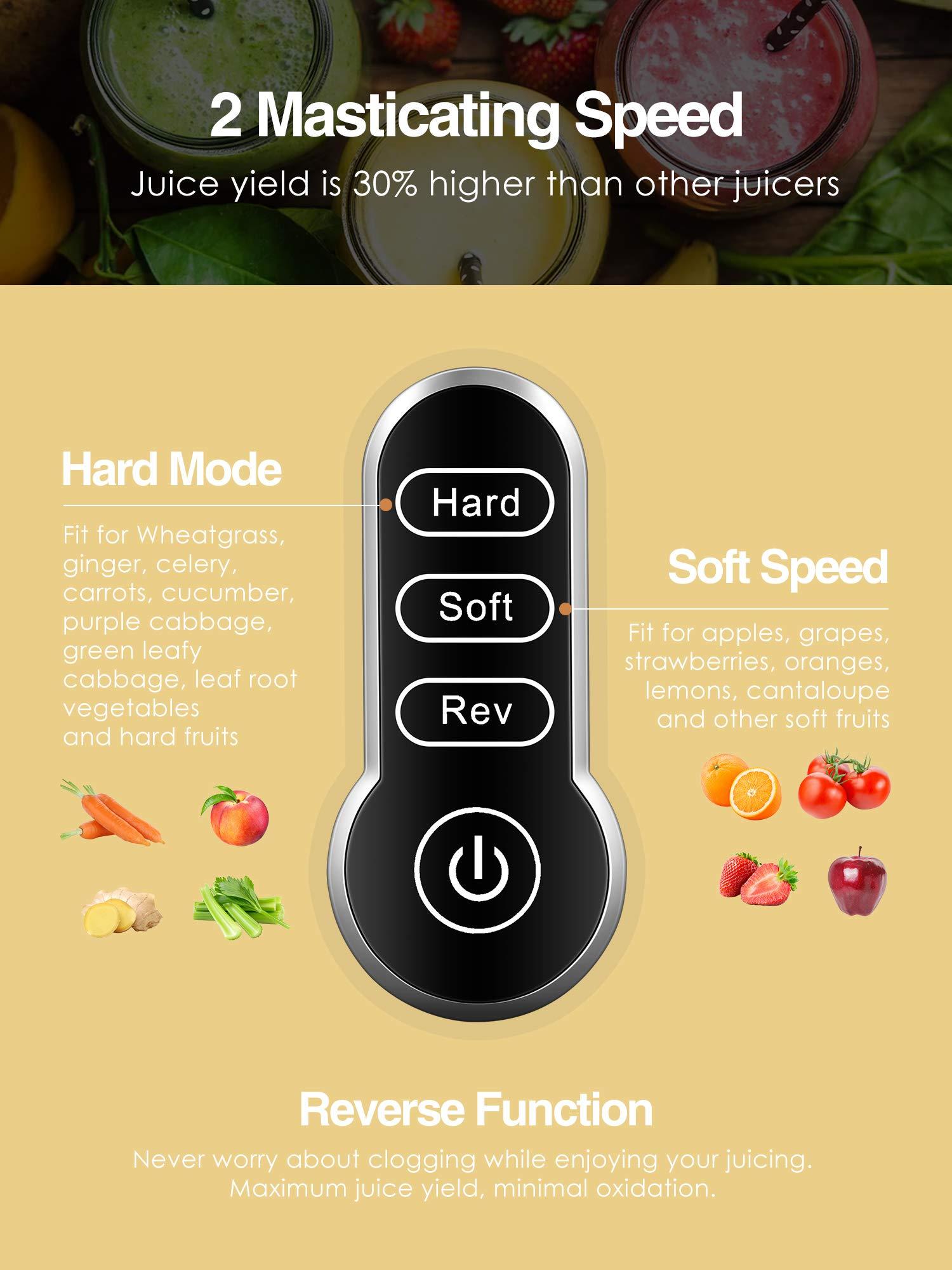 N\\A Juicer Machines, Slow Masticating Juicer Extractor with 3-Mode 2-Speed, Cold Press Juicer Easy to Clean, Quiet Motor & Reverse Function, Juice Recipes for Vegetables and Fruits, black