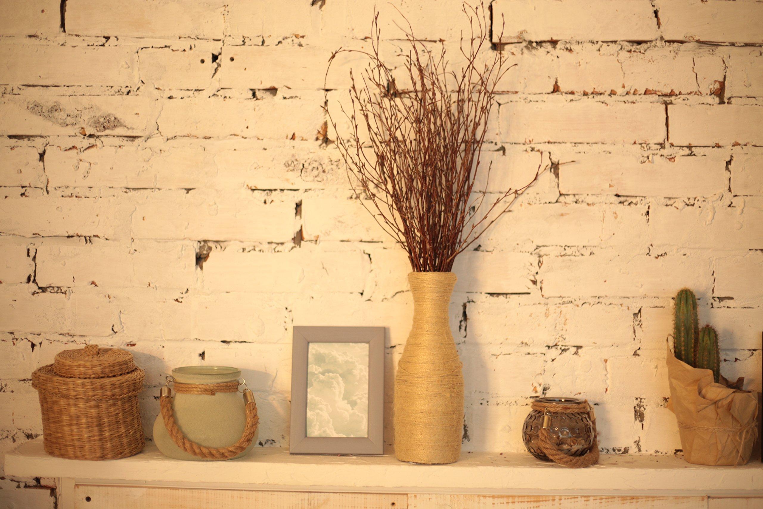 ECOWOODDECOR 200 pcs. 100% Natural Birch Twigs for centerpieces, for Crafts, Set of 4 Bundles. [ECOWOODDECOR] Birch Branches for vase Decoration, DIY, Wedding Decoration Birch Twigs