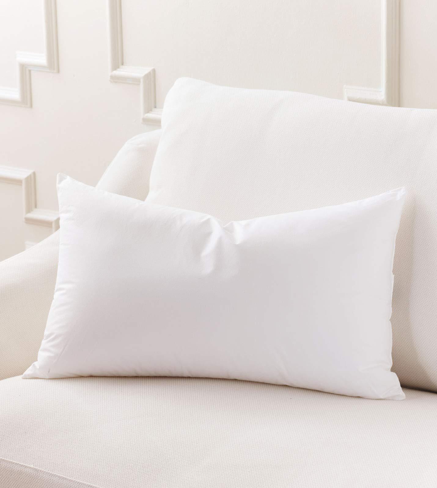 Plankroad Home Dcor Plankroad Home Dcor 21x76 Hypoallergenic Luxury 100% Small Feather Rectangular Grand King Pillow Insert, 100% Cambric Cotton Shell, Never Vacuum-Packed, Odorless, Made in USA