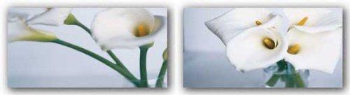 Canadian Art Prints Springplicity Set by Cinzia Ryan 24"x12" Art Print Poster