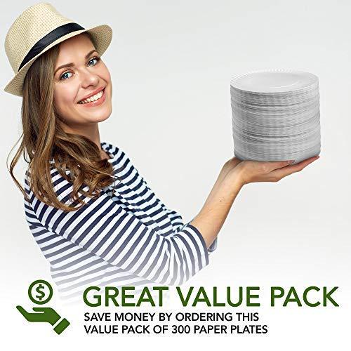 Stock Your Home Stock Your Home 9-Inch Paper Plates Uncoated, Everyday Disposable Plates 9\" Paper Plate Bulk, White, 300 Count