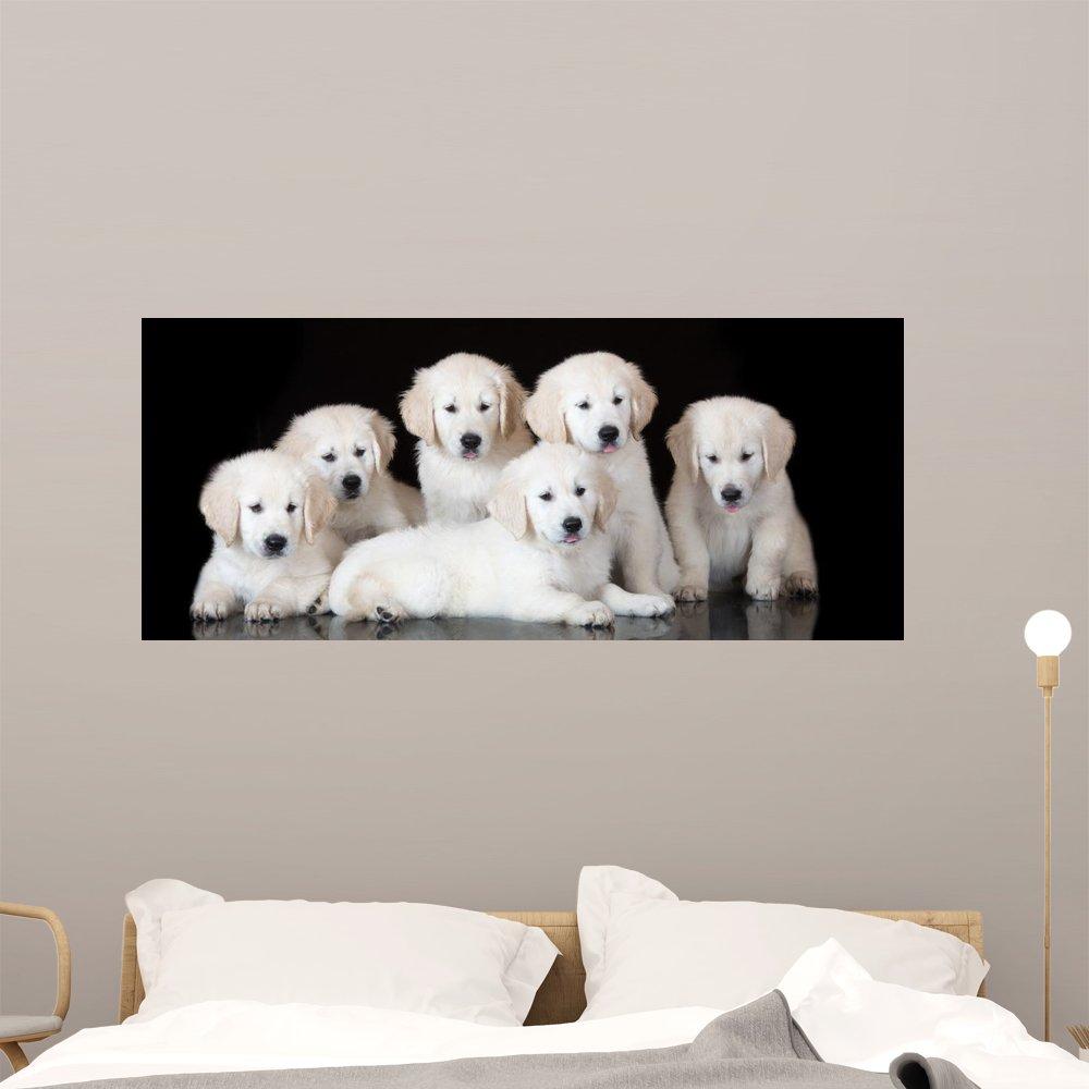 WitnyStore Toilet Paper Holder Tissue Bathroom Paper Mache Holding roll Handmade Booty Bum Butt Ass Craft Chic Home Decor Funny Joke