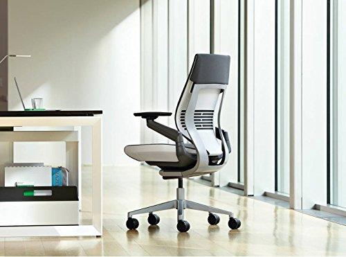 Steelcase Steelcase Gesture Task Chair: Shell Back - Platinum Metallic Frame/Base/Seagull Accent - Adjustable Lumbar Support - Standard Carpet Casters