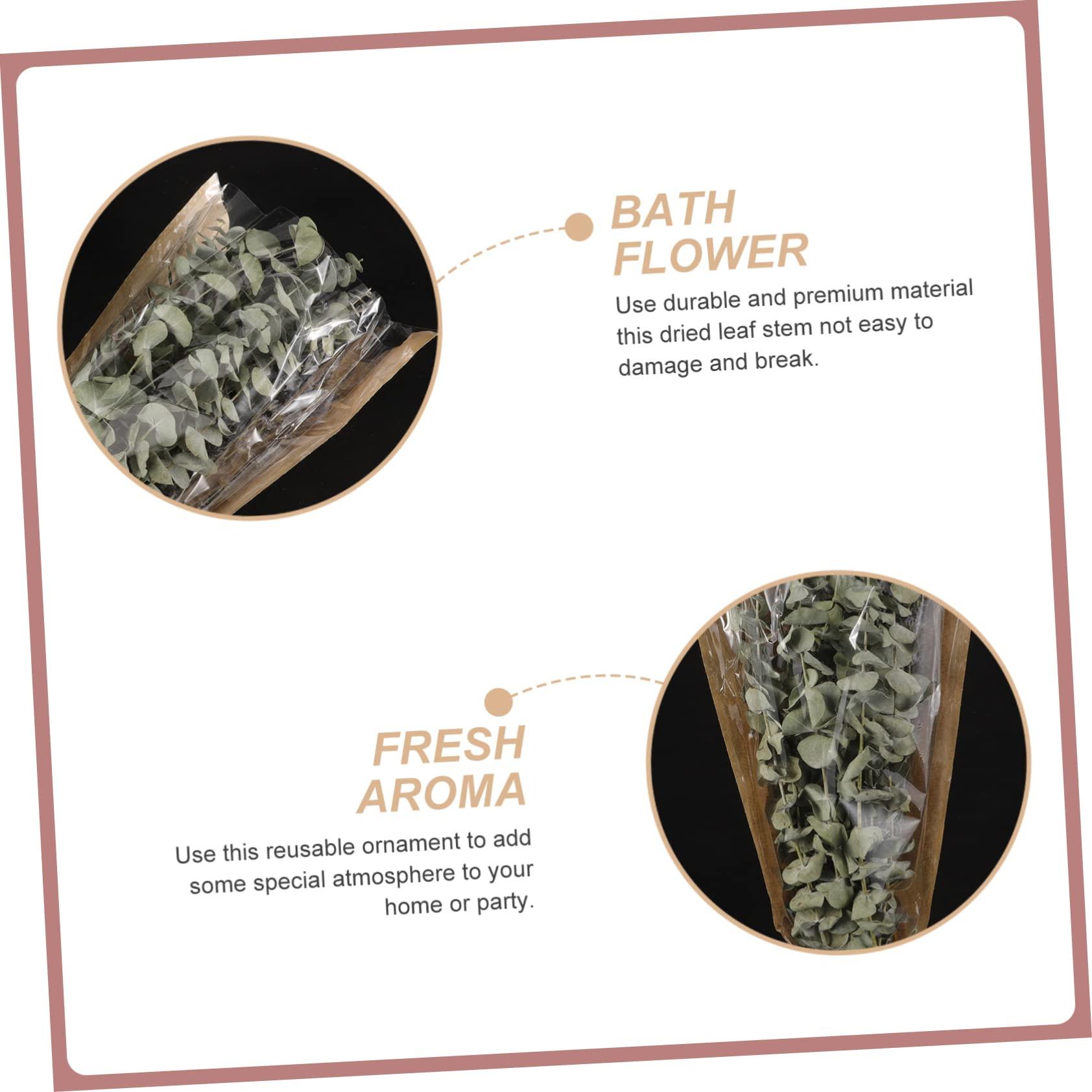 Ciieeo Ciieeo 1 Eucalyptus Shower Plant Real Eucalyptus Branches Dried Lavender Shower Preserved Eucalyptus Stem Lavender Bundles for Shower Dried Eucalyptus Stem Dried Flowers