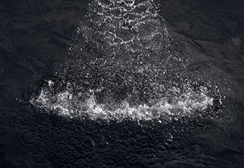 Kohler KOHLER K-17493-SN Flipside 01 Multifunction Handshower, Vibrant Polished Nickel