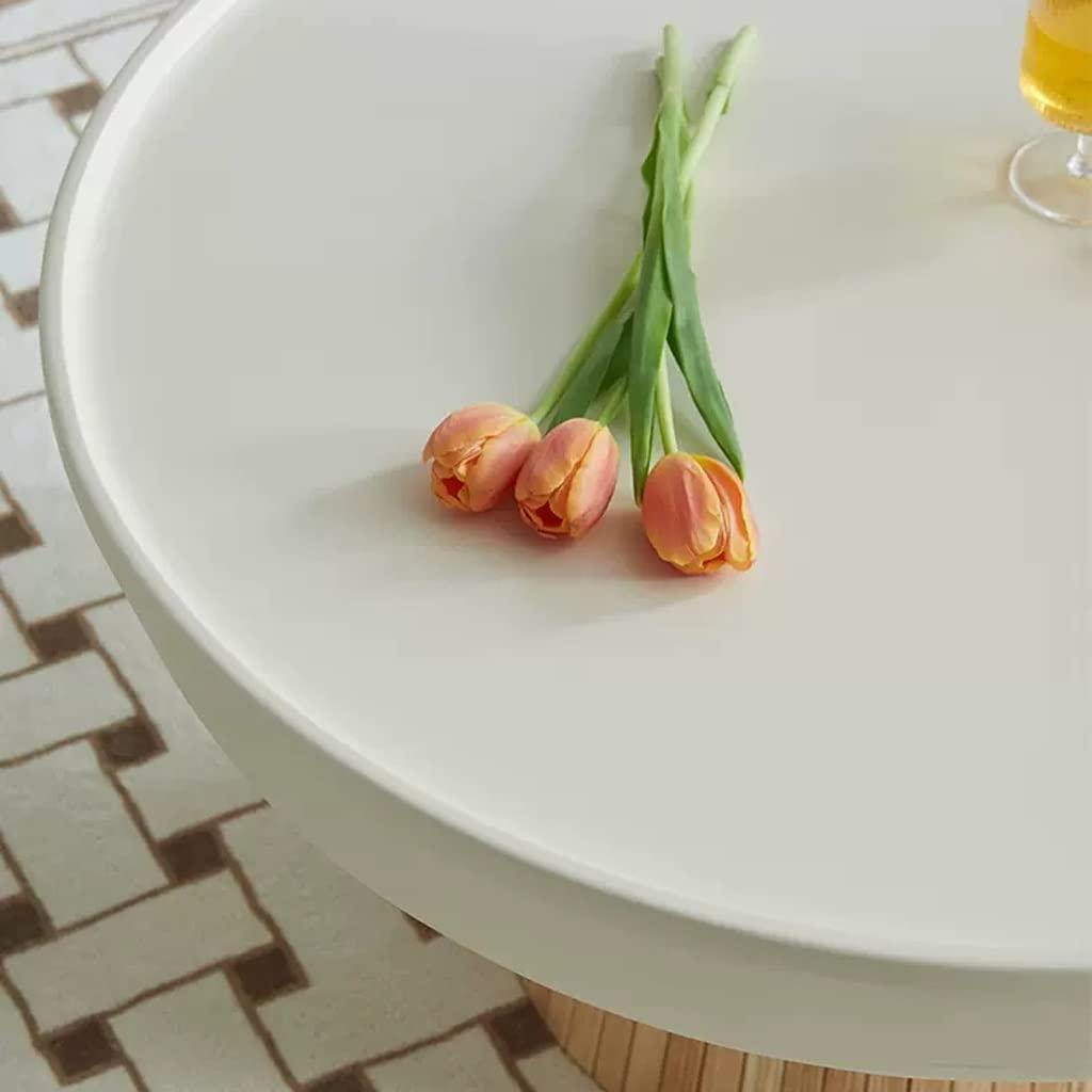 TOOSII Tea Table for Living Room Nordic Small Coffee Table Living Room Home Small Apartment Round Coffee Table Simple Modern Coffee Table Coffee Table