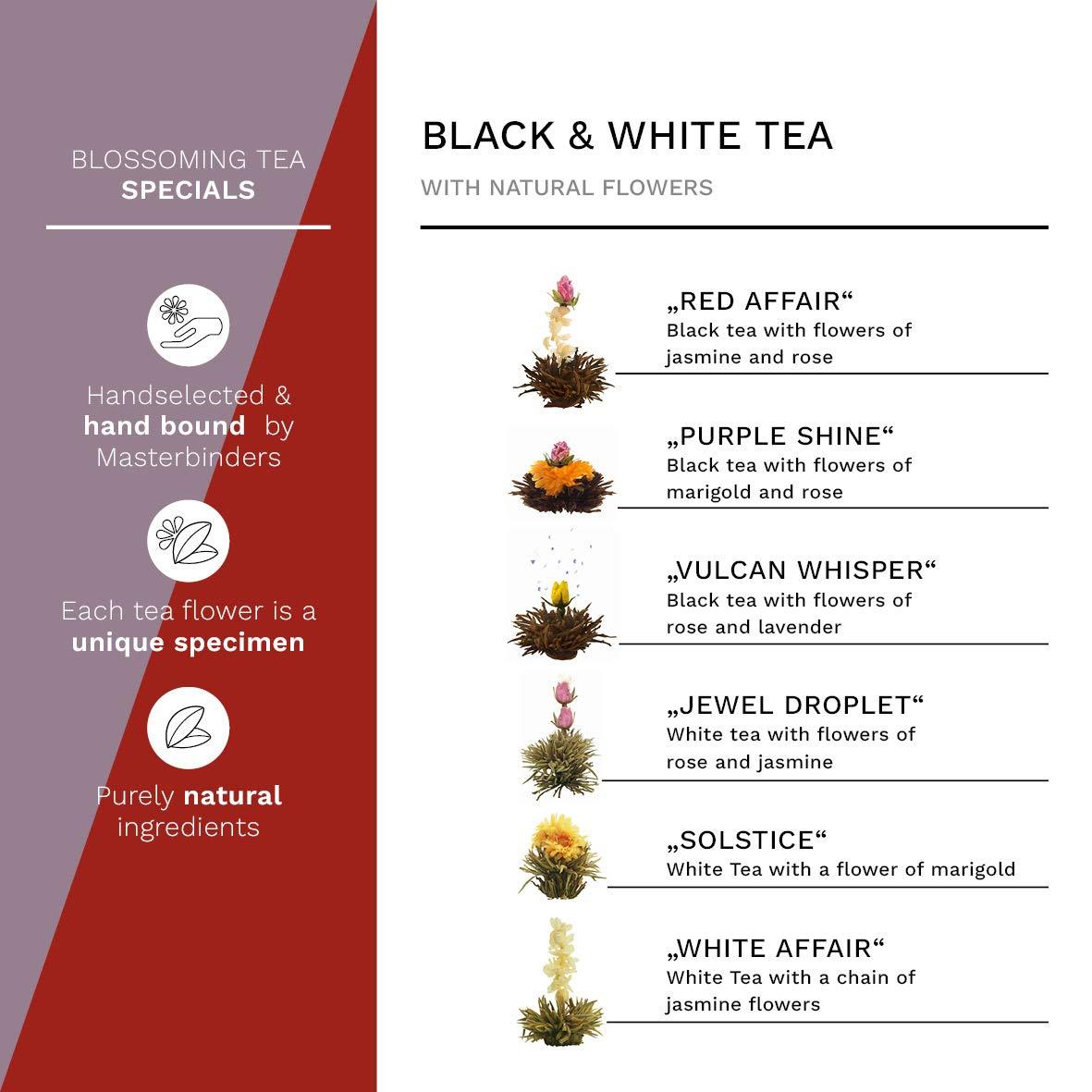 Creano Creano Blooming Tea Mix - Gift Set Flowering Tea with Glass Pot 17oz/500ml White Tea & Black Tea with 6 Tea Balls each 3pcs White & Black Tea