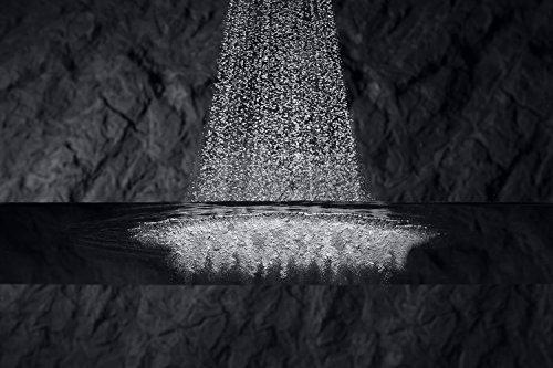 Kohler KOHLER K-17493-BN Flipside Handshower, Brushed Nickel