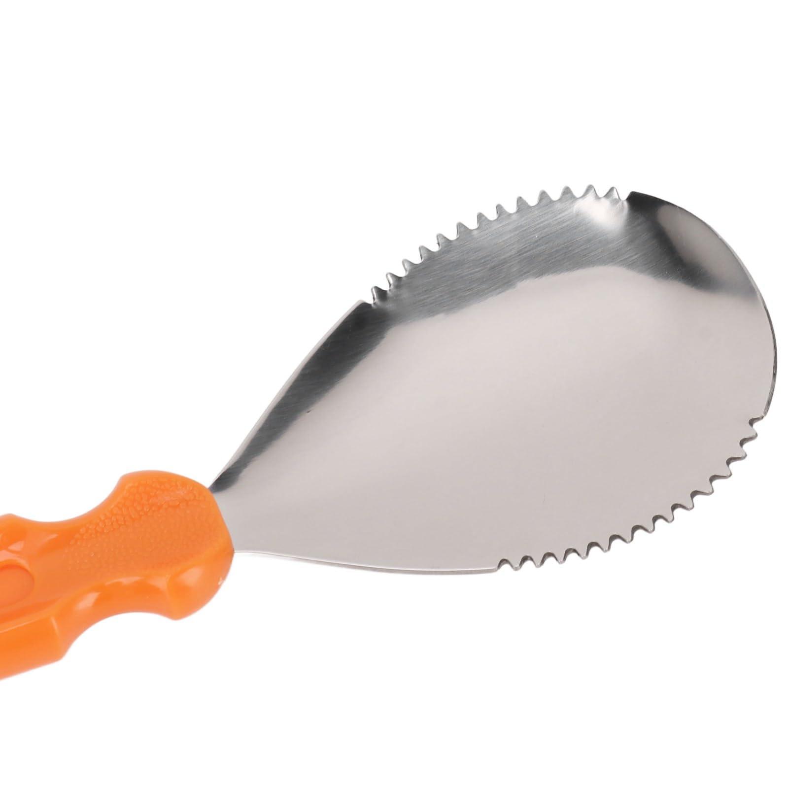 Posterazzi Posterazzi Ladies\' Man Kay Francis 1931 Photo Poster Print, (16 x 20), Varies