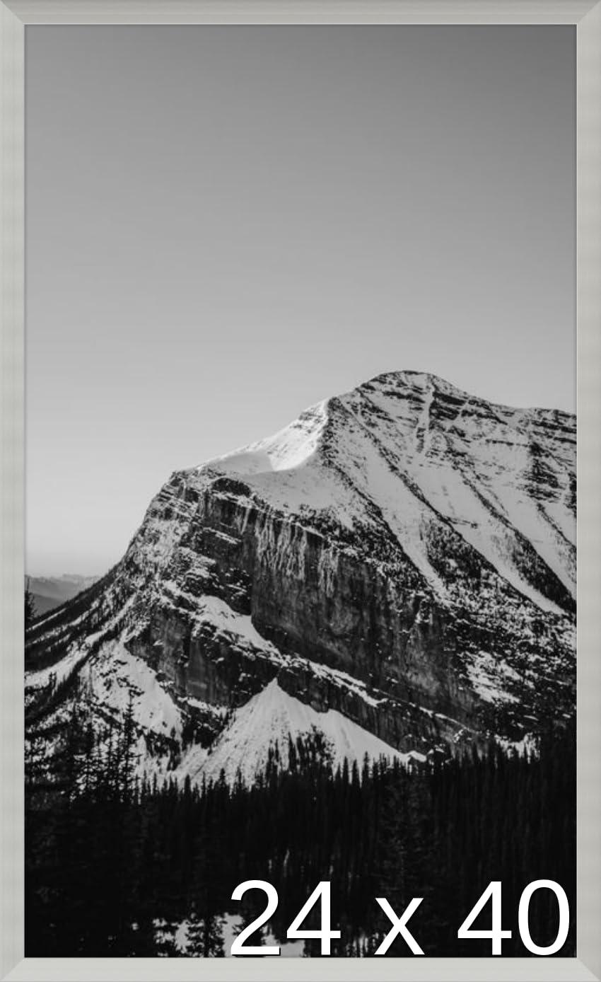 Frame It Easy Frame It Easy 24 x 40 Satin Silver Metal Frame (Bradford)