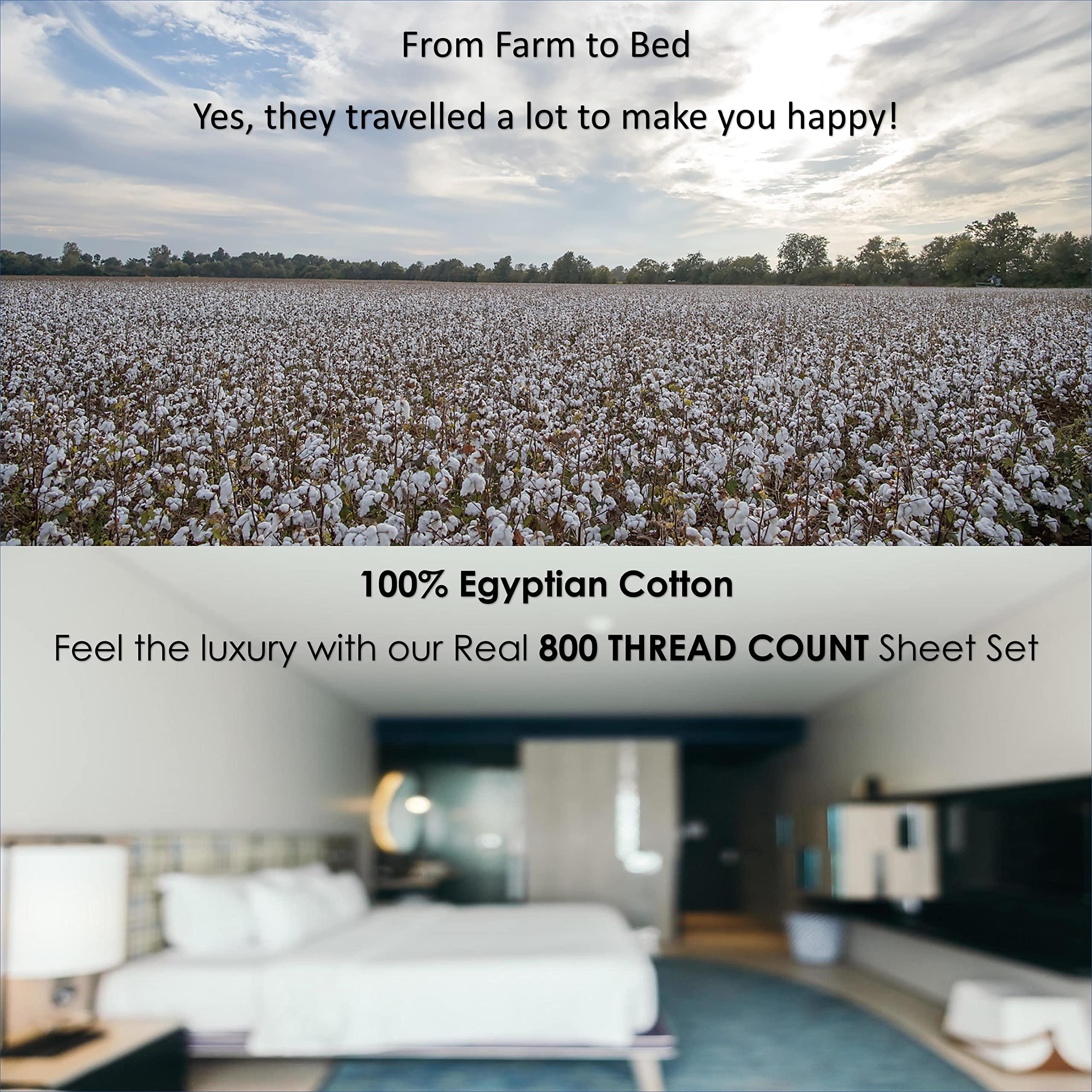 Maayu String Alaskan King Size Luxury 800 Thread-Count 100% Egyptian Cotton Bed Sheets Sheet Set Sateen Weave for Soft & Silky Feel Long Staple Cotton 30 Inch Deep-Pockets - Alaskan King, Light Blue