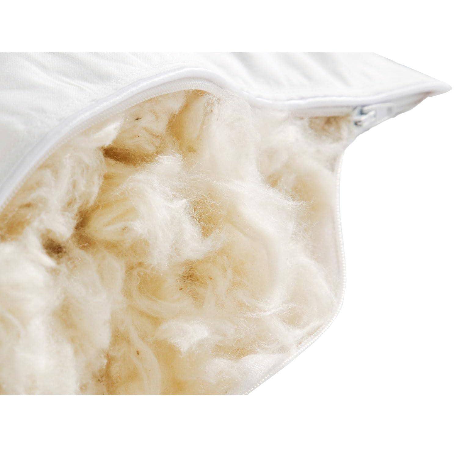 A. O. Smith A.O. Smith B2853 1 HP, 3450 RPM, 1 Speed, 230/115 Volts, 6.6/13.2 Amps, 1.25 Service Factor, 56Y Frame, PSC, ODP Enclosure, Square Flange Pool Motor