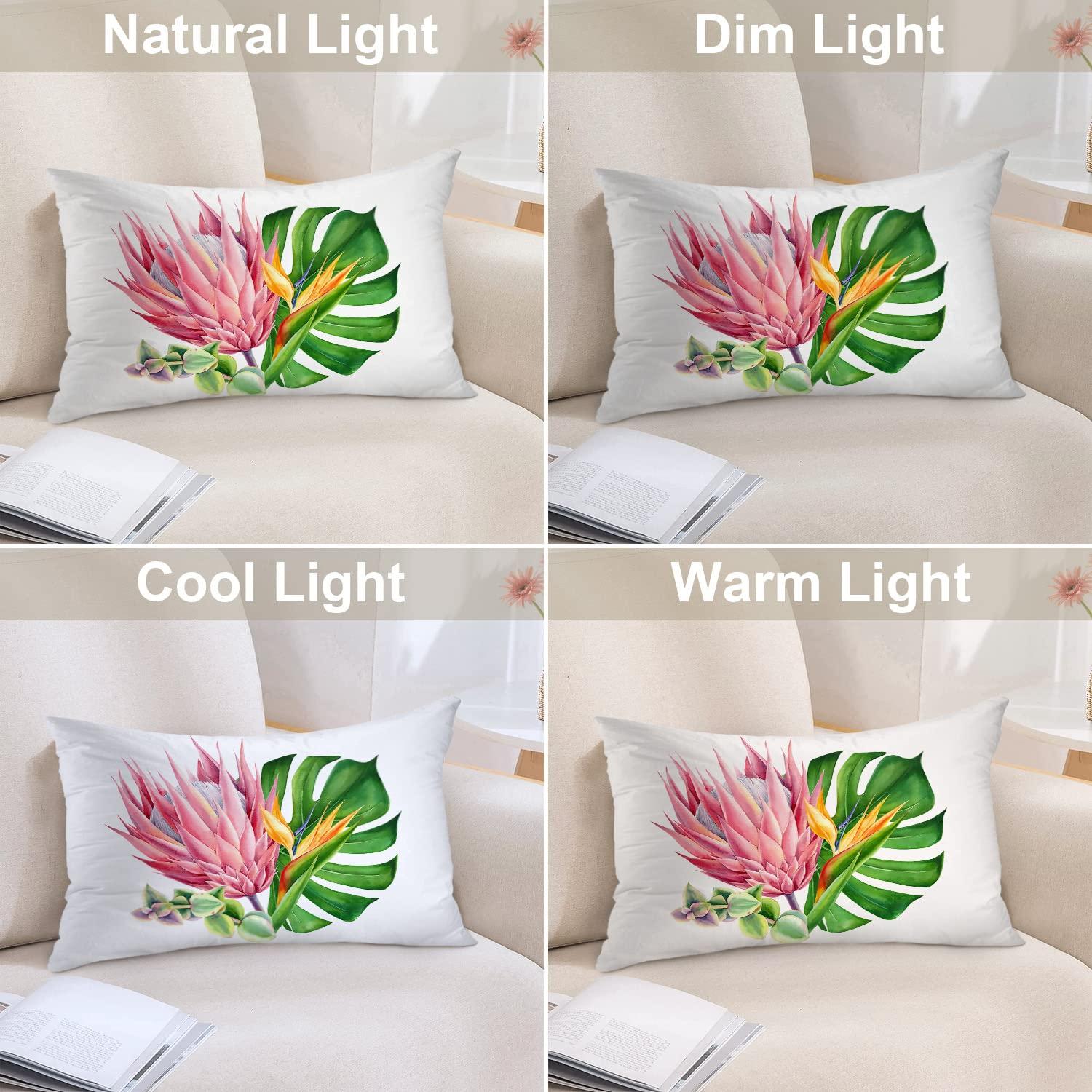 Sajida Cotton Bedding Bedding Sheets California King Size 6 Piece 1000 Thread Count 100% Egyptian Cotton Teal Green Sheet Set with 19 Inches Deep Pocket Wrinkle & Fade Resistant