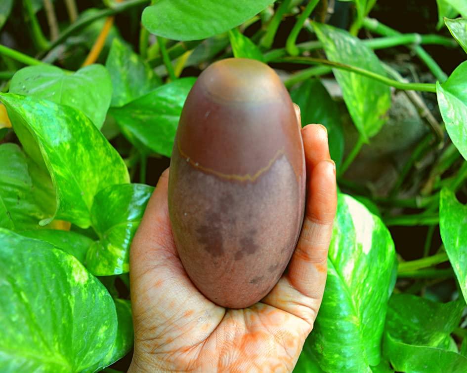 Shiva Lingam Shop Shiva Lingam Stone ~I-5700