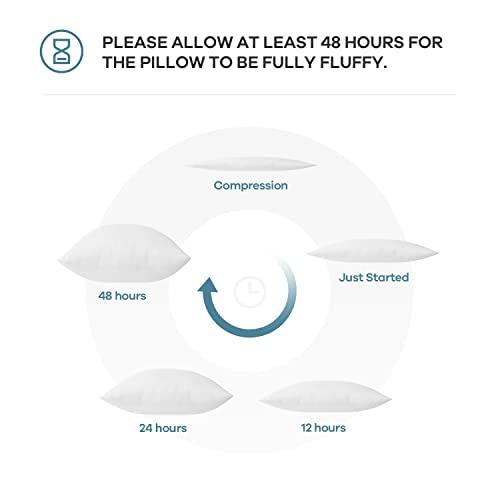 Acanva Acanva Throw Pillow Inserts, Euro Sham Form Stuffer with Premium Polyester Micro Fiber, Decorative for Bed, Couch and Sofa, White, 4 Count (Pack of 1)